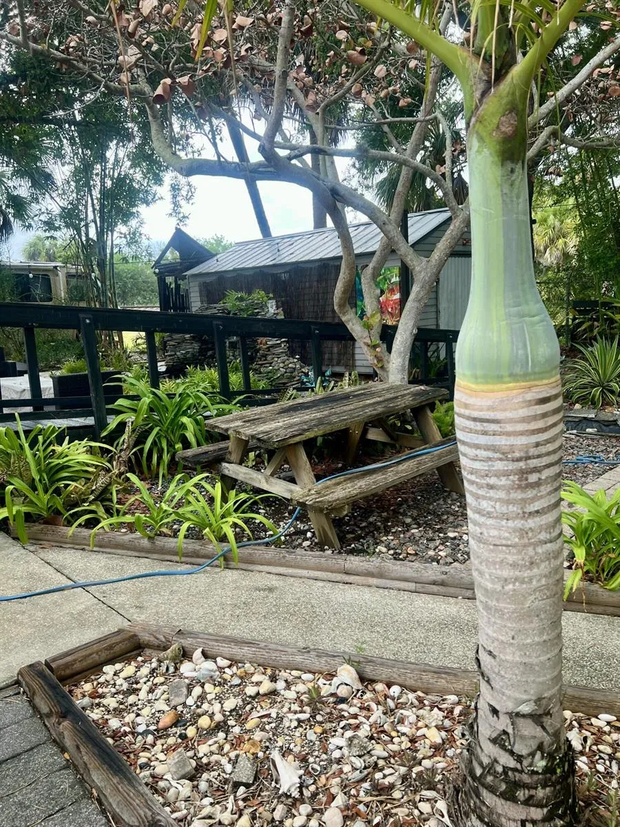 208 Avenue E Fort Pierce, FL 34950