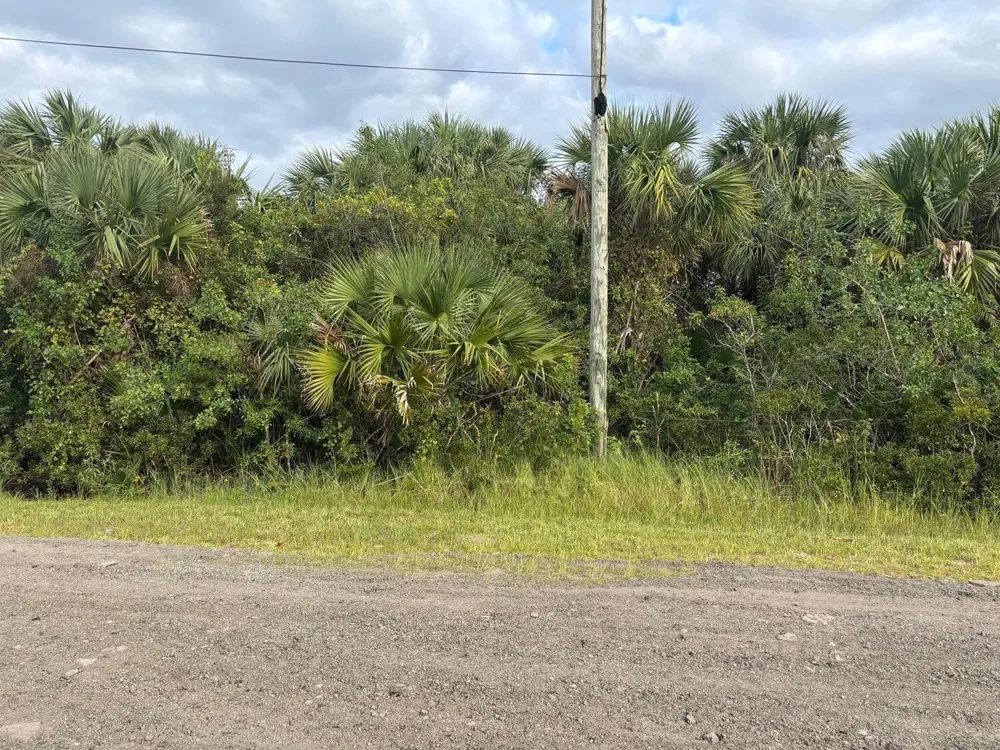 3223 SW Mockingbird Avenue Palm Bay, FL 32908