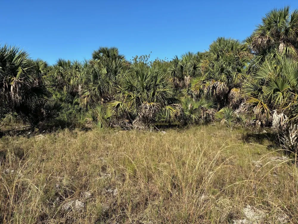 3223 SW Mockingbird Avenue Palm Bay, FL 32908