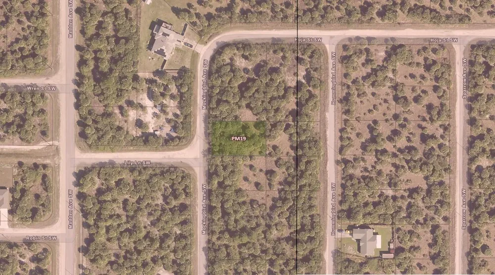 3223 SW Mockingbird Avenue Palm Bay, FL 32908