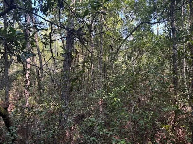 224 SE 8th Avenue Palatka, FL 32177