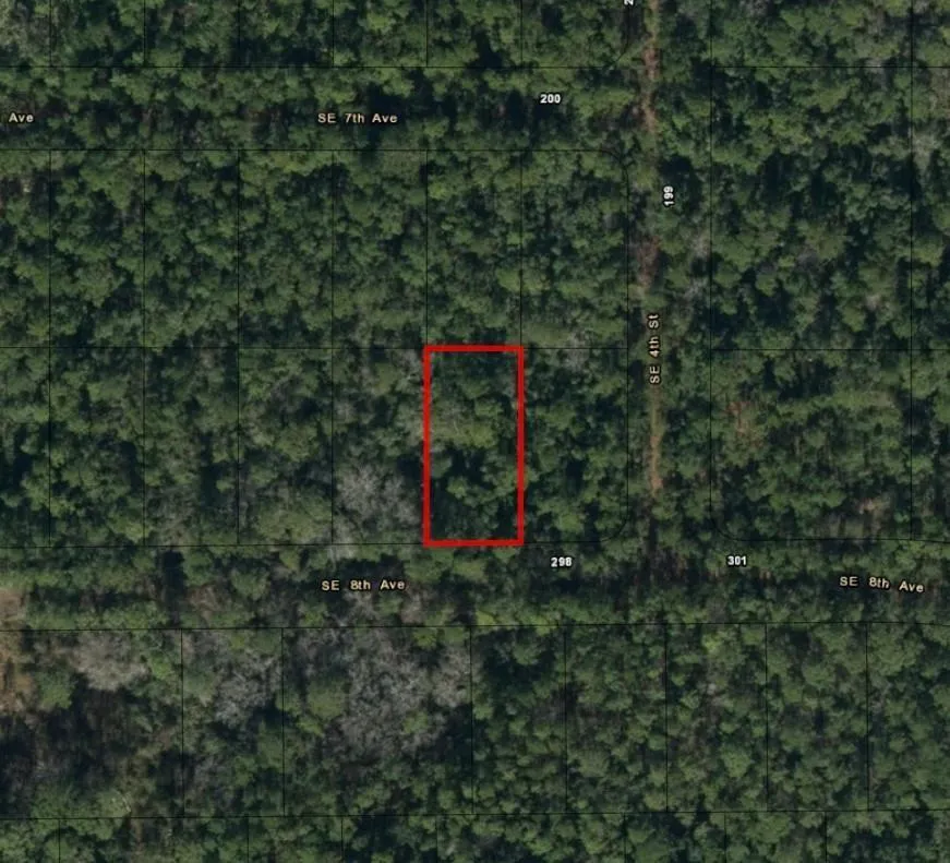 224 SE 8th Avenue Palatka, FL 32177