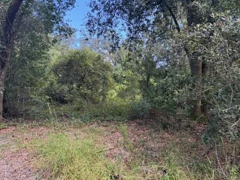 County Rd 54