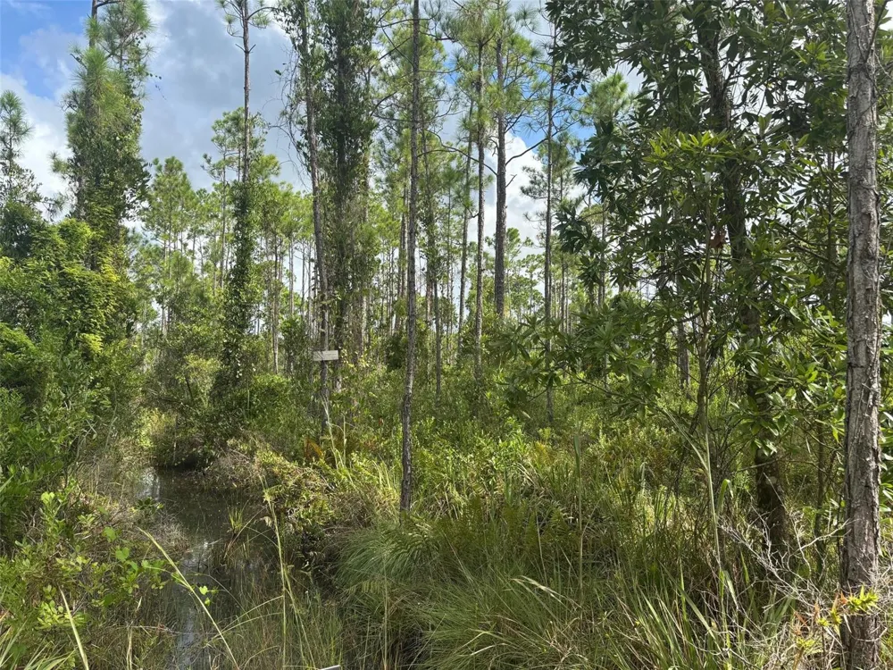 Co Road Lake Wales, FL 33898