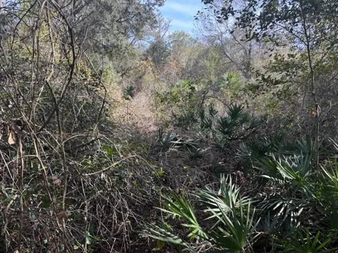 County Rd 54