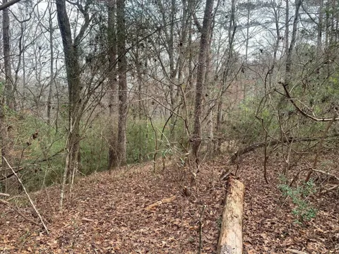 Griffin Circle