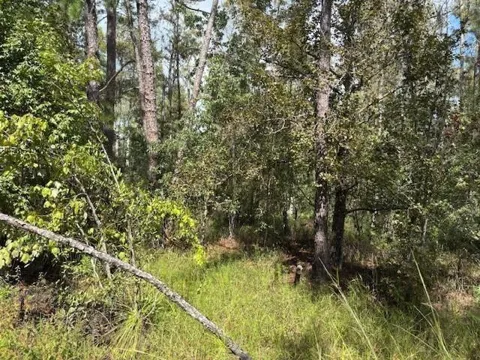 County Rd 54