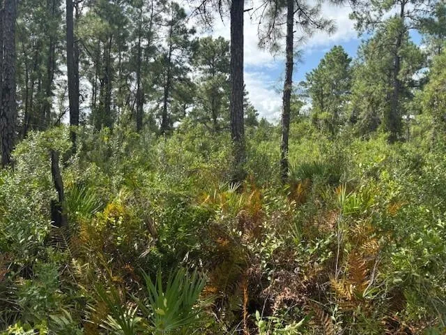 Hwy 630e Frostproof, FL 33843
