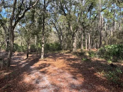 County Rd 54