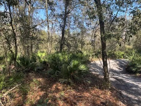 County Rd 54