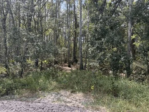 County Rd 54