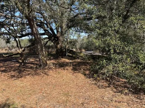 County Rd 54