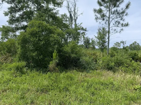 County Rd 54