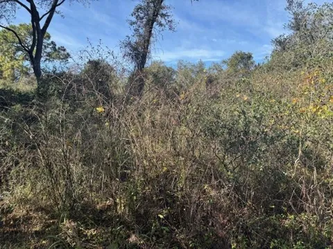 County Rd 54