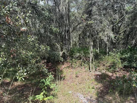 County Rd 54
