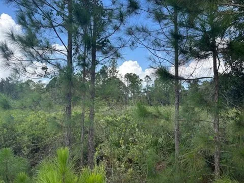 County Rd 54