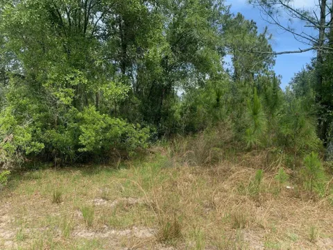 County Rd 54