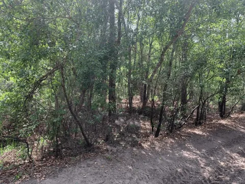 County Rd 54