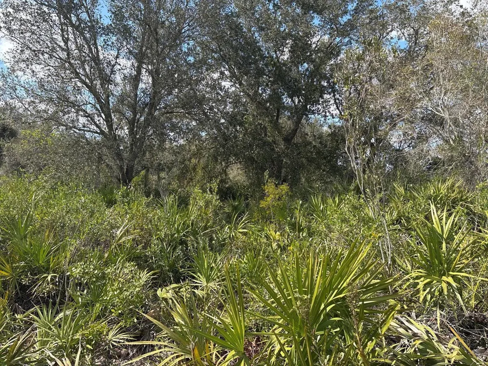 NW 300th Street Okeechobee, FL 34972
