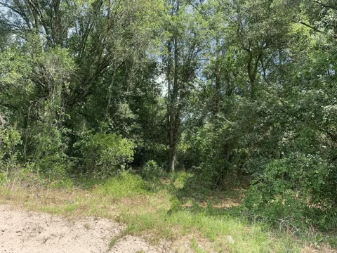 County Rd 54