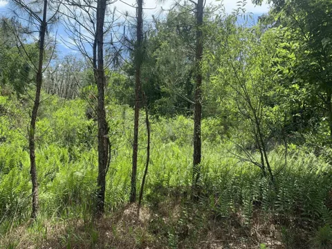 County Rd 54