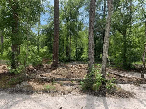 County Rd 54