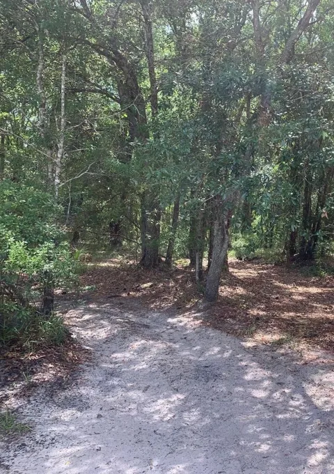 County Rd 54