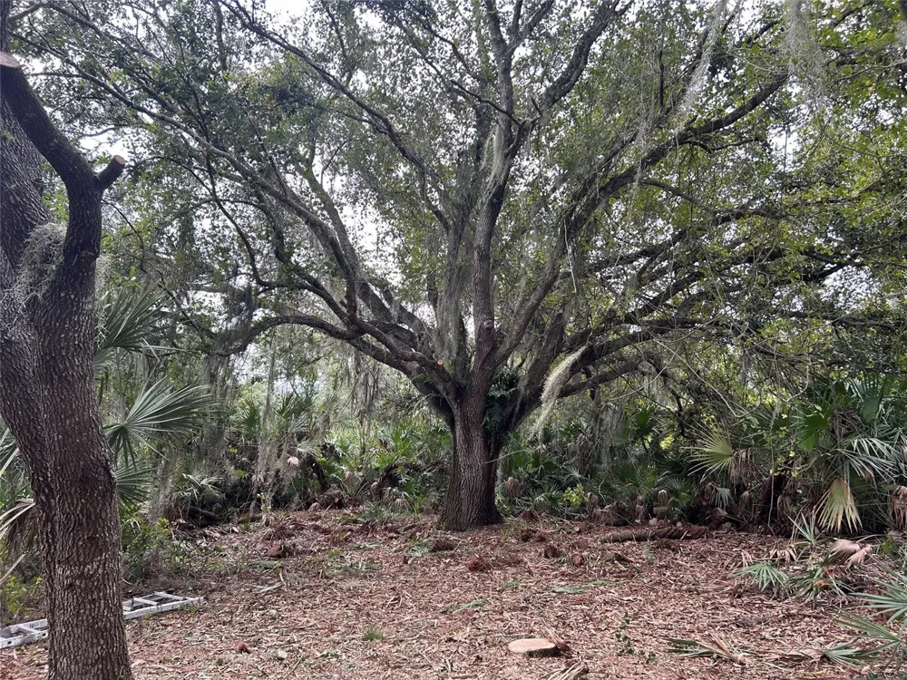 298th Street Okeechobee, FL 34972