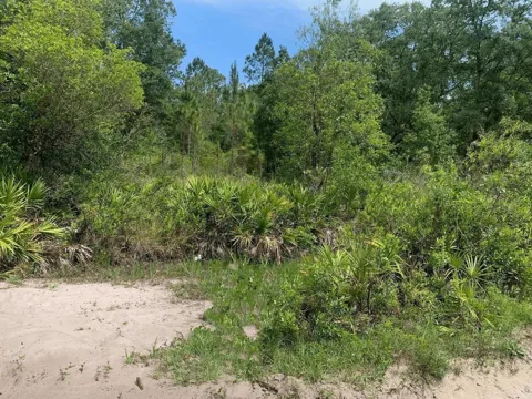 County Rd 54