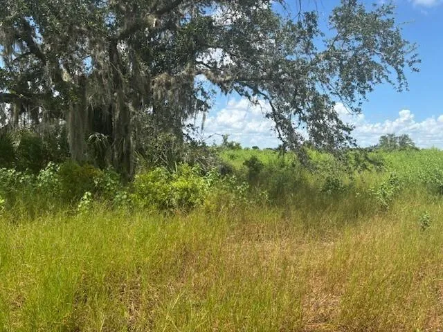NW 316th Street Okeechobee, FL 34972