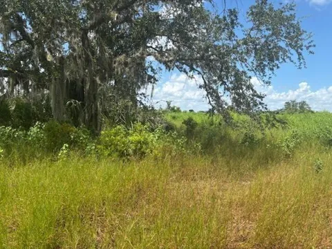 NW 316th Street