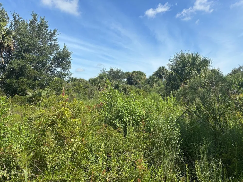 NW 312th Street Okeechobee, FL 34972