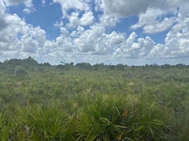313th Street Okeechobee, FL 34972