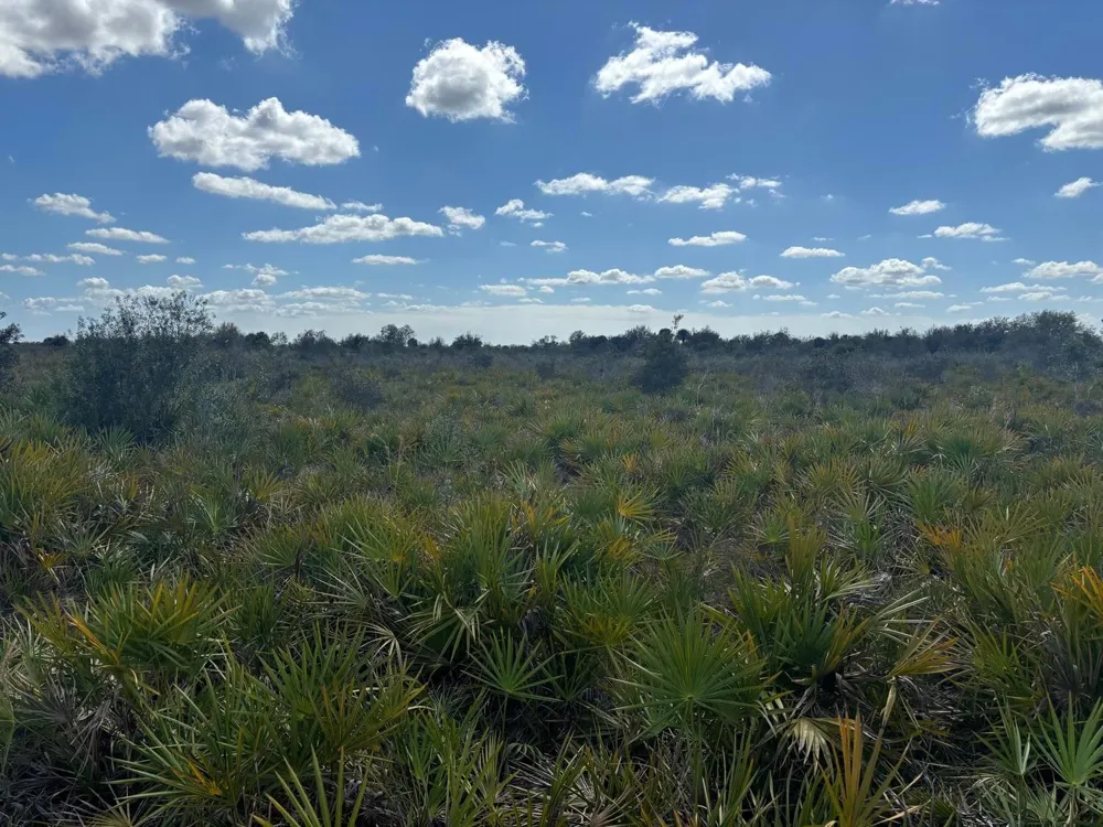 313th Street Okeechobee, FL 34972