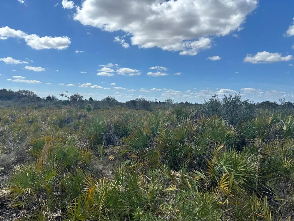 313th Street Okeechobee, FL 34972