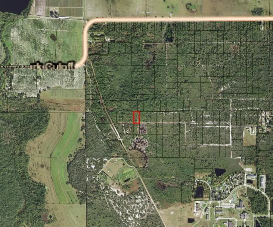 Alturas Babson Park Cutoff Road Lake Wales, FL 33859