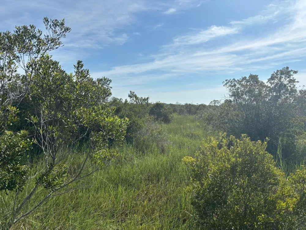 NW 308th Street Okeechobee, FL 34972