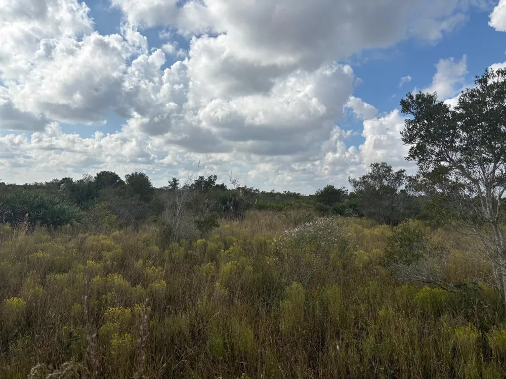 NW 314th Street Okeechobee, FL 34972