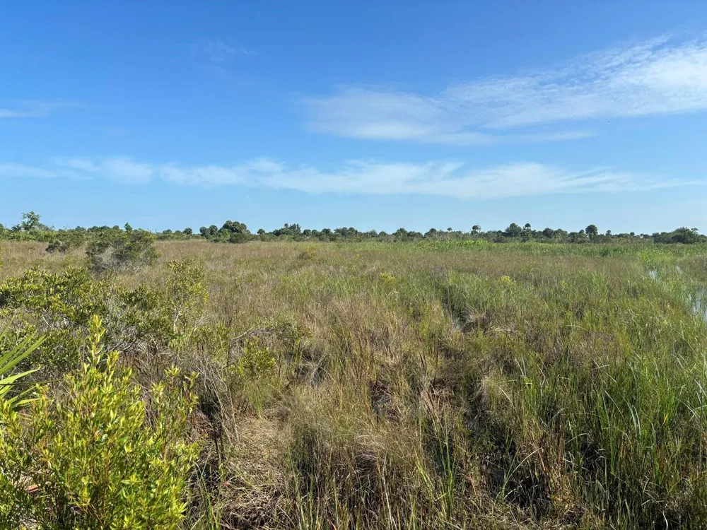 NW 318th Street Okeechobee, FL 34972