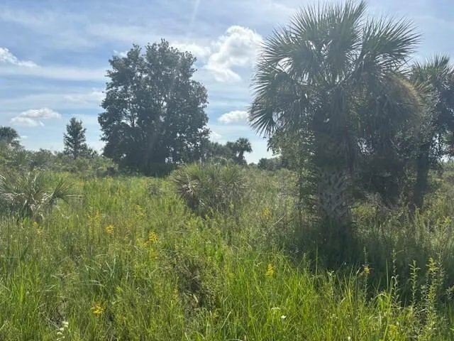 NW 310th Street Okeechobee, FL 34972
