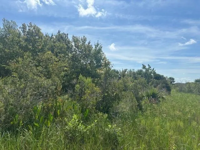 NW 310th Street Okeechobee, FL 34972