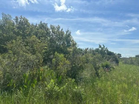 NW 310th Street