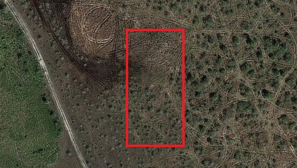 NW 310th Street Okeechobee, FL 34972