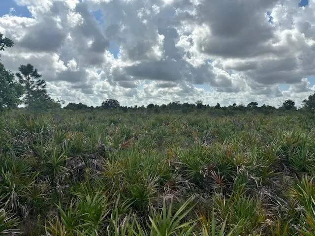 NW 314th Street Okeechobee, FL 34972