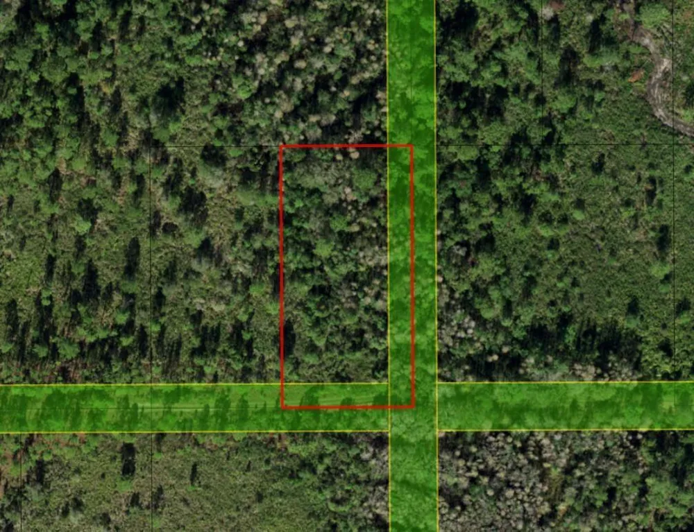 Xeriscape Nursery Road Frostproof, FL 33843