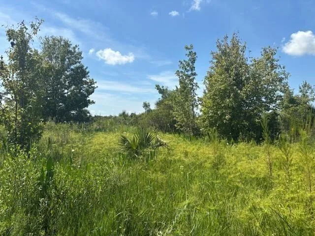 NW 310th Street Okeechobee, FL 34972