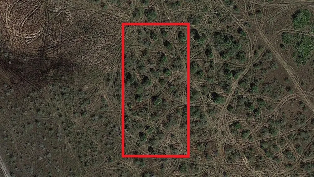 NW 310th Street Okeechobee, FL 34972