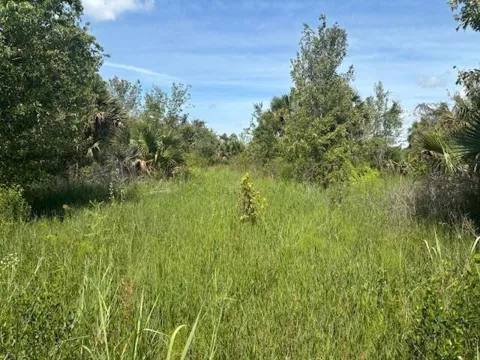 NW 310th Street