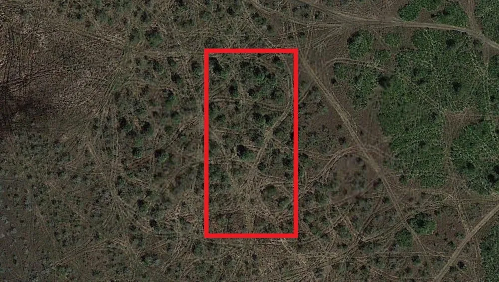 NW 310th Street Okeechobee, FL 34972