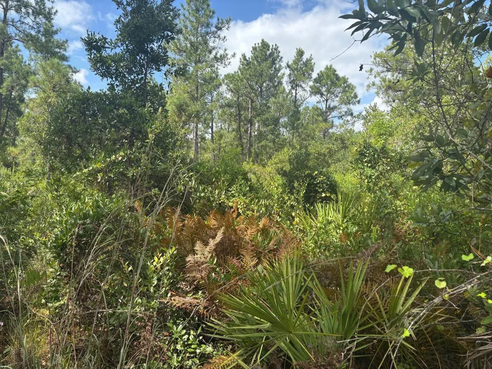Hwy 630e Frostproof, FL 33843